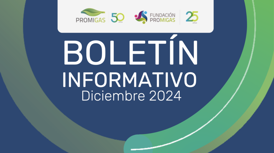Boletín diciembre