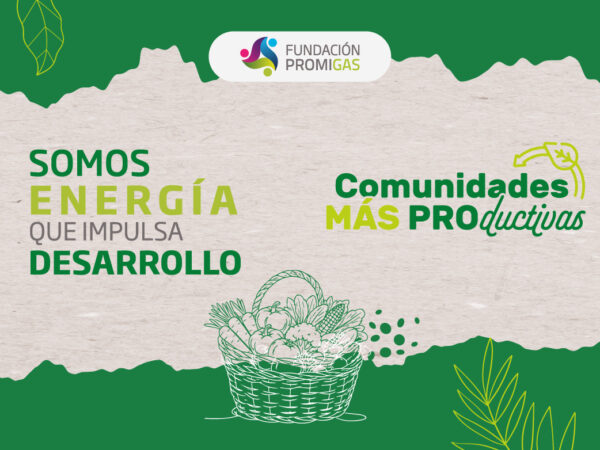 banner web whtsp_Mesa de trabajo 1